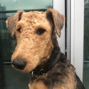 Meet your Posher, Chloe